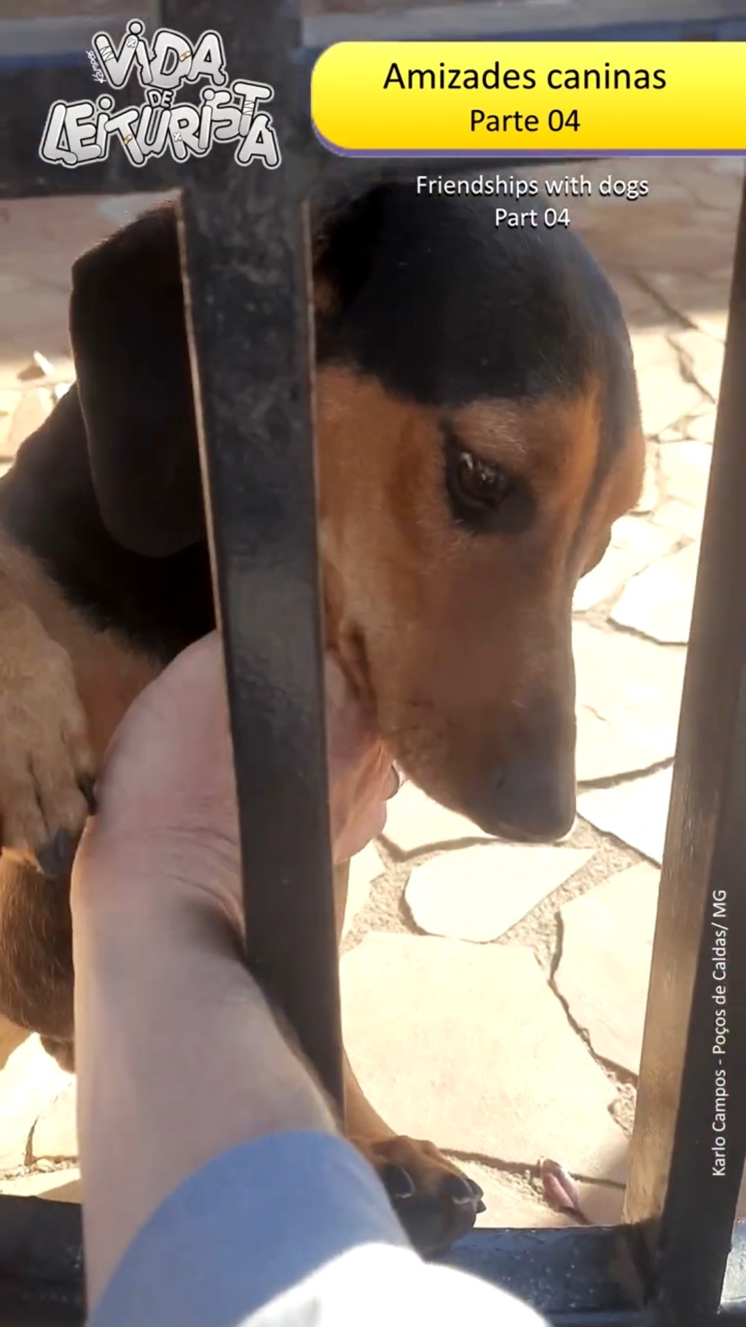 Amizades Caninas Pt. 04
